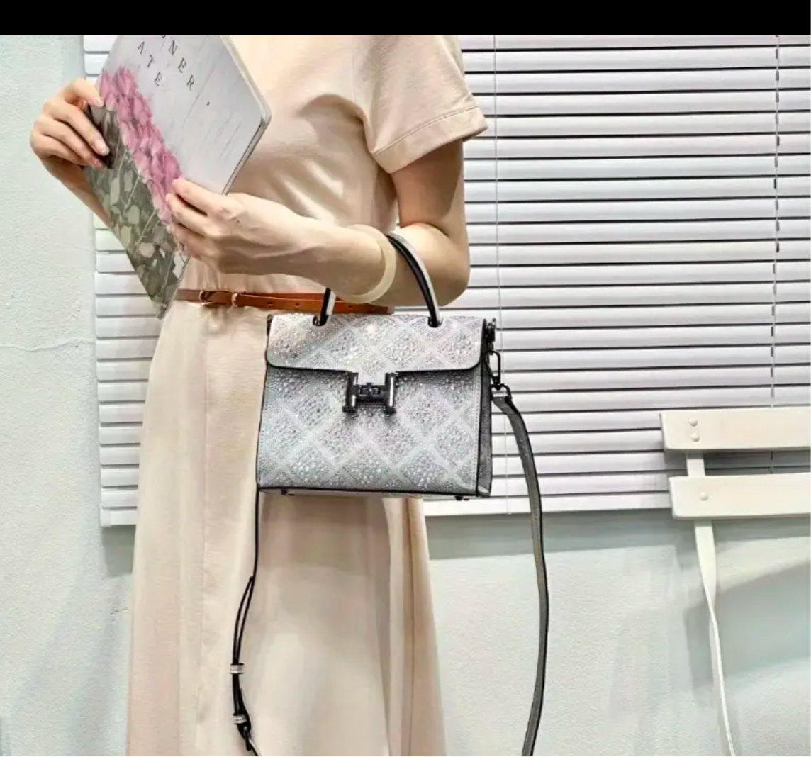 Swarovski Crystal H clutch.