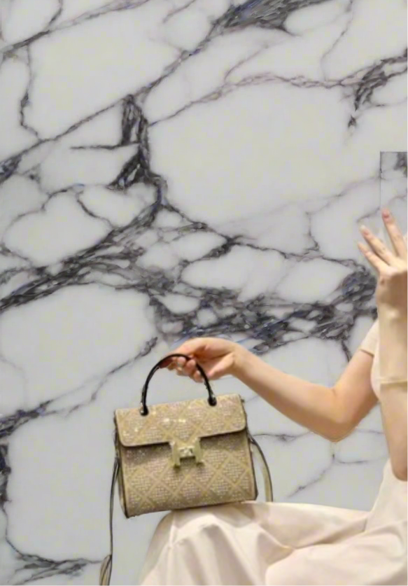 Swarovski Crystal H clutch.