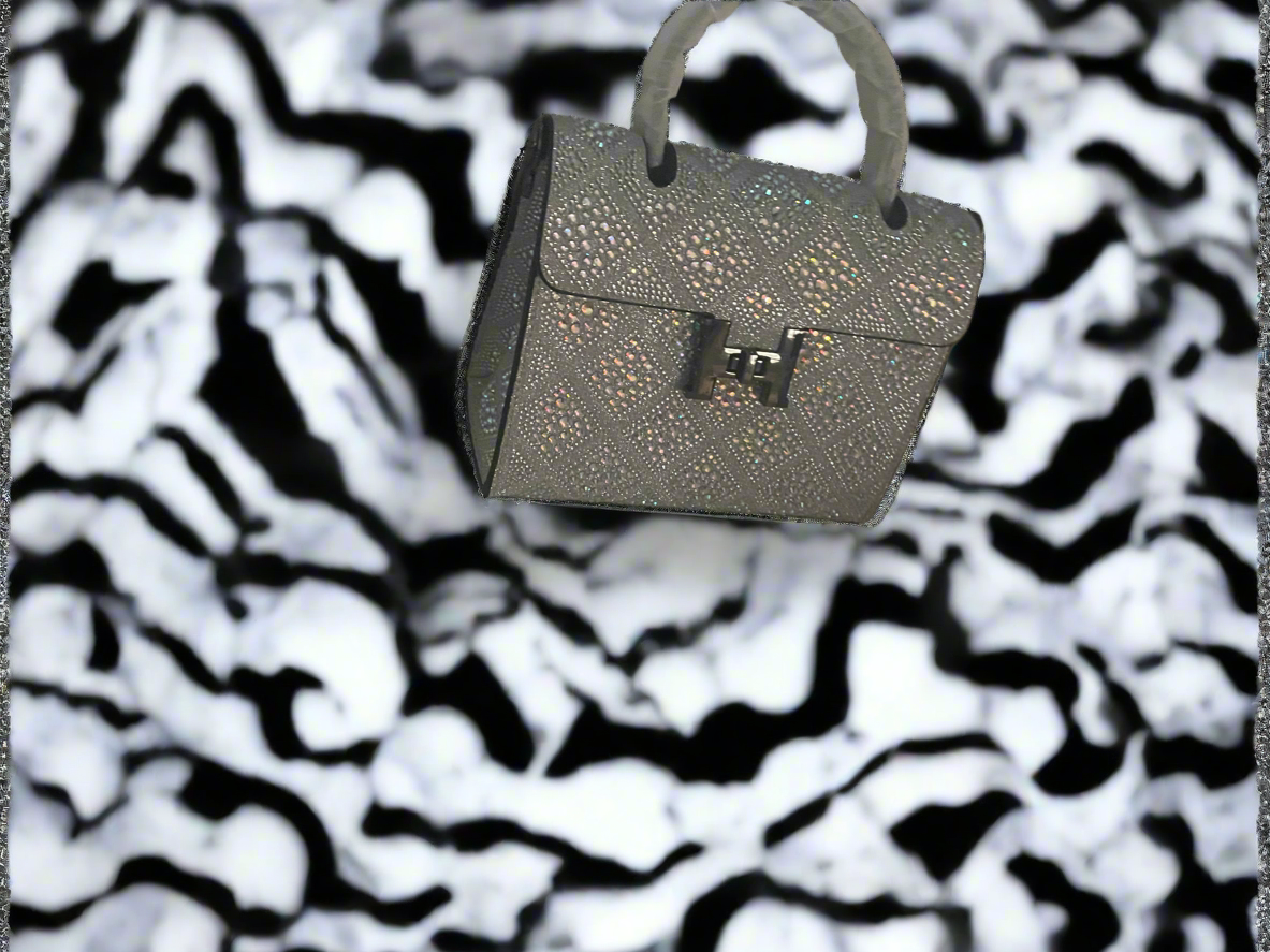 Swarovski Crystal H clutch.